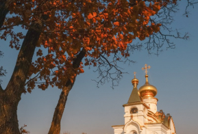 В Сад камней и на прогулку по Хехциру приглашают жителей и гостей Хабаровска