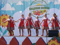 В Бикине отпраздновали юбилей города сельскохозяйственной ярмаркой